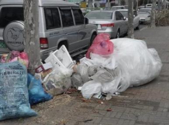 Что сближает и отдаляет “мусорный” вопрос в Новороссийске и в Южной Корее