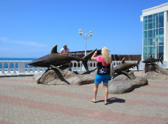 Кубанцы выбирают Геленджик: турпоток в городе-курорте не снижается