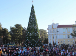 Более 20 тысяч туристов отметили новогодние праздники в Геленджике