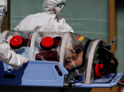 Четверо новых зараженных в Геленджике: актуальная сводка по коронавирусу 