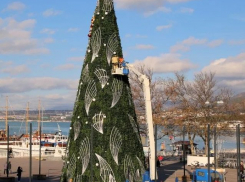 Считаные дни до Нового года: в Геленджике установили елку 