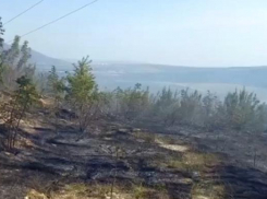 Второй пожар за неделю: в Кабардинке сгорело не менее гектара леса