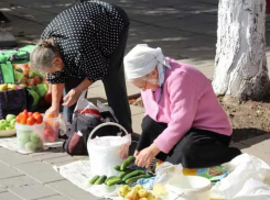 Геленджикским дачникам придется купить патент