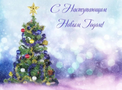 Владимир Синяговский поздравил жителей Геленджика с Новым годом и Рождеством