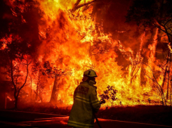 За сутки из-за пожаров в Краснодарском крае погибло пять человек