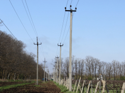«Россети Кубань» обеспечила электроэнергией 135 объектов АПК в юго-западных районах края
