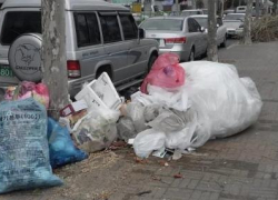 Что сближает и отдаляет “мусорный” вопрос в Новороссийске и в Южной Корее