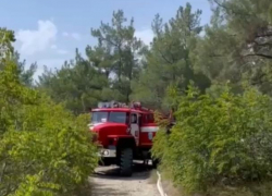 56 соток леса сгорело сегодня днем в Геленджике по вине человека