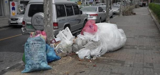 Что сближает и отдаляет “мусорный” вопрос в Новороссийске и в Южной Корее