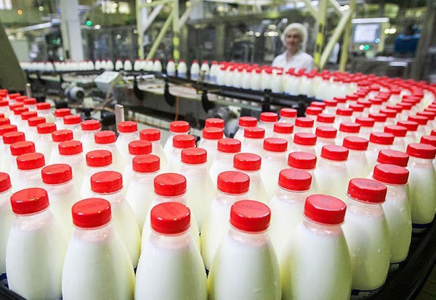 Цена на молочную продукцию в Геленджике повысится