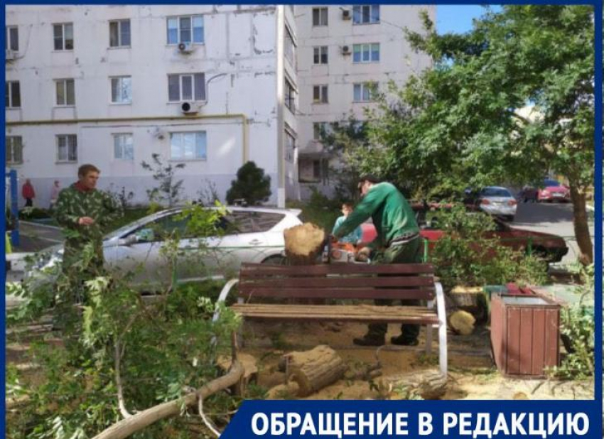 Жительница Геленджика благодарит  коммунальные службы за помощь в ликвидации последствий норд-оста