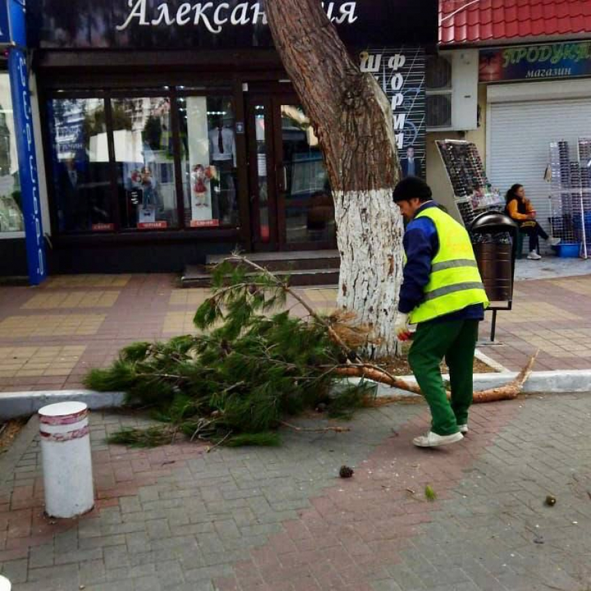 Ждать ли геленджичанам усиления ветра 