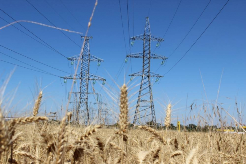 «Россети Кубань» обеспечили электроэнергией 100 объектов АПК на юго-западе края