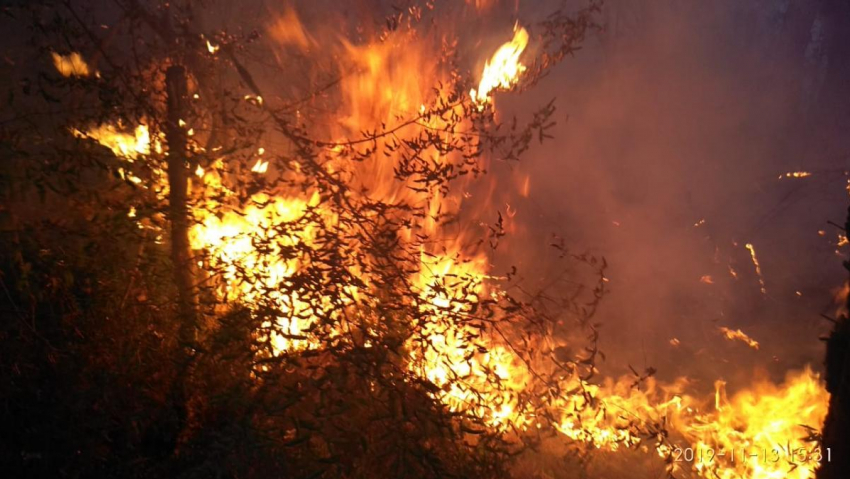 Сумма ущерба 12 миллионов: в Геленджике суд вынес приговор по делу о лесном пожаре