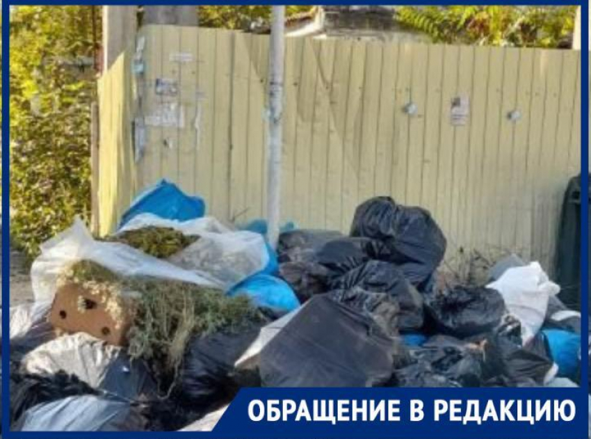 Жители Геленджика недовольны скопившимся мусором в центре города 